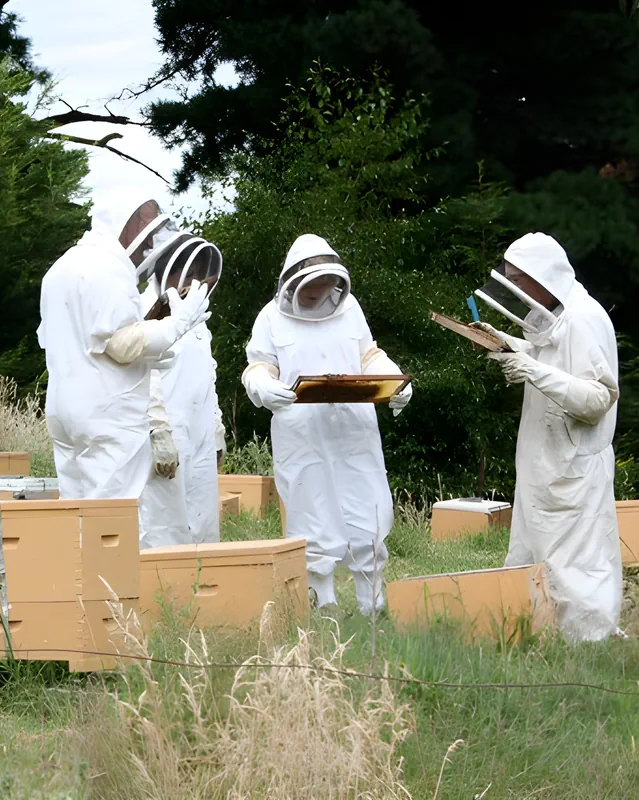 Atelier Apiculture