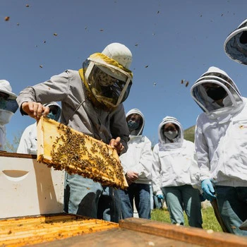 Atelier pédagogique apiculture