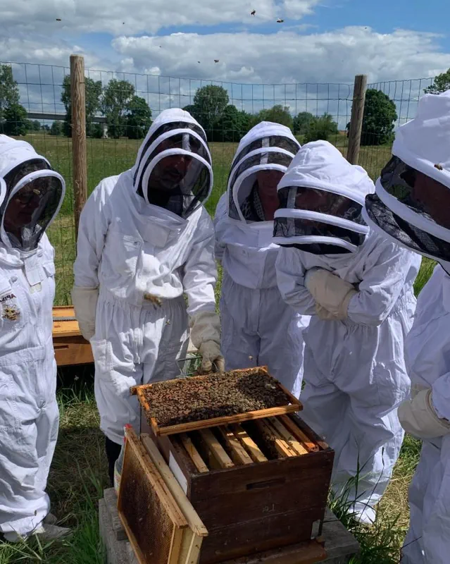 Formation Apiculture